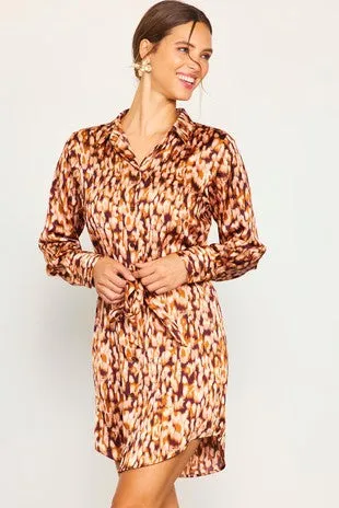 Feeling Bold Shirt Dress