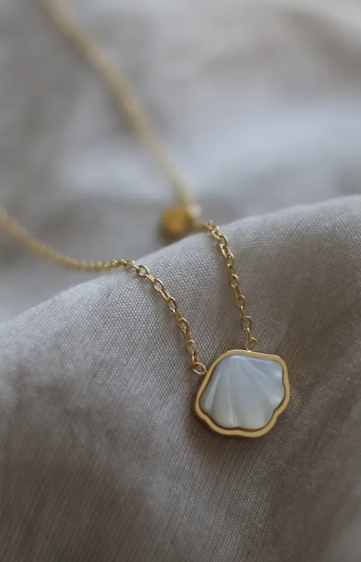 Minimalist Shell Pendant Chain Necklace in Gold