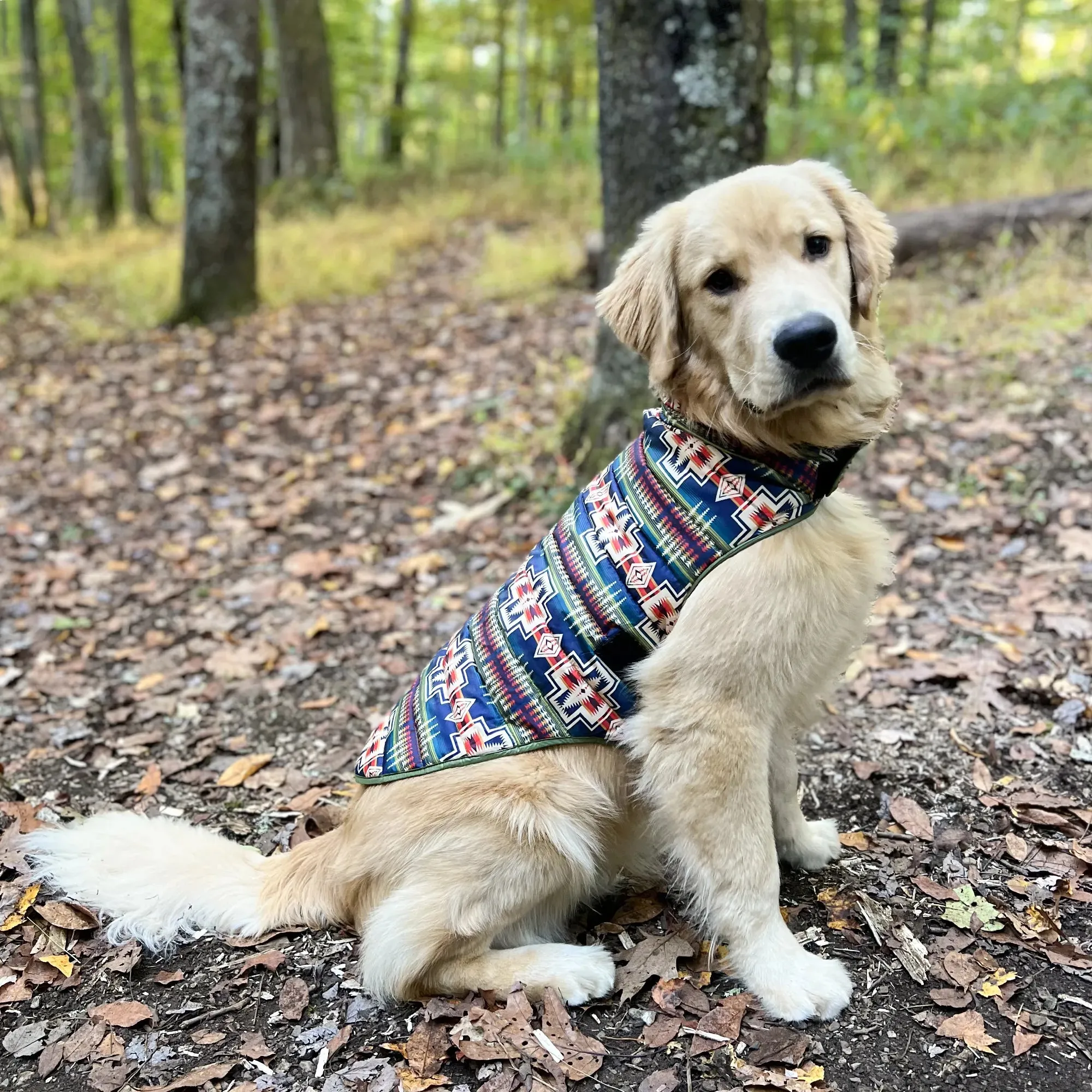 Pendleton Puffer Coat | Century Harding Ochre