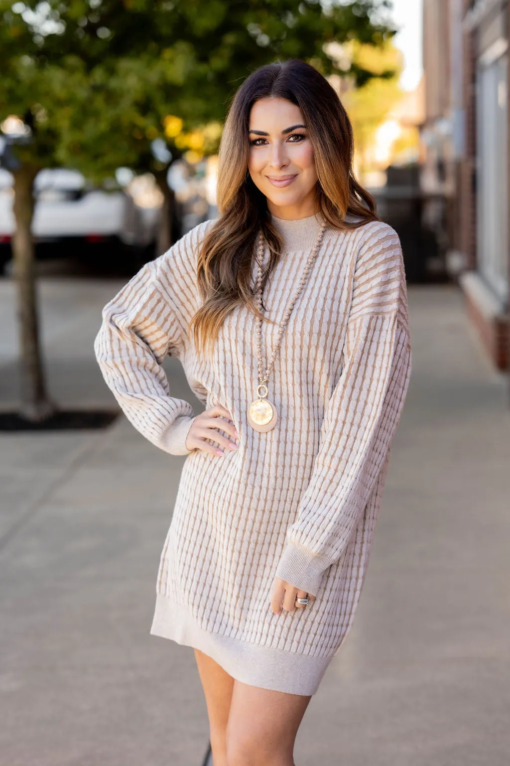 Solid Trim Cable Knit Sweater Dress