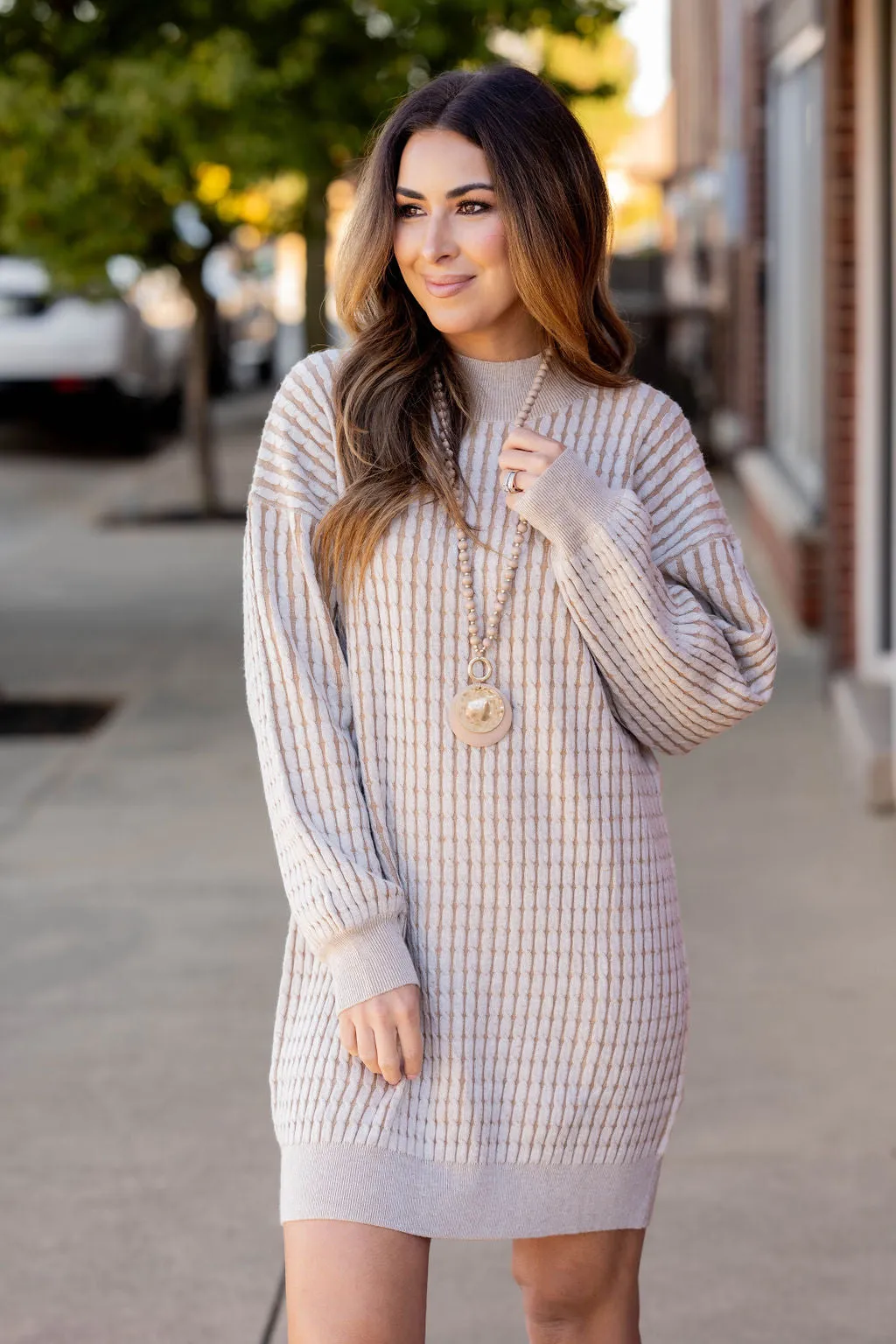 Solid Trim Cable Knit Sweater Dress