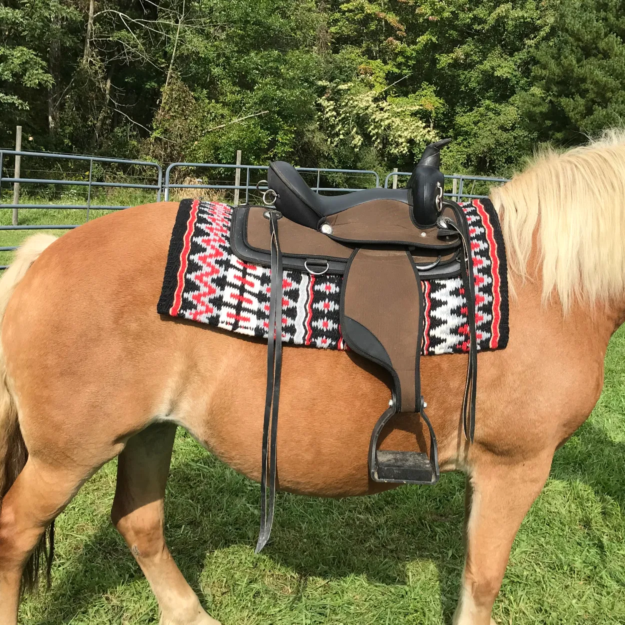 Tahoe Tack 34" x 38" Livia New Zealand Wool Western Show Saddle Blanket