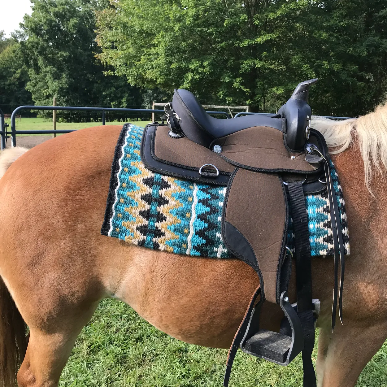 Tahoe Tack 34" x 38" Reya New Zealand Wool Western Show Saddle Blanket